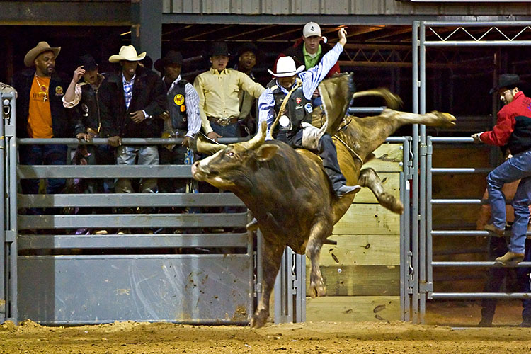 Bull Riding Open 2 copy