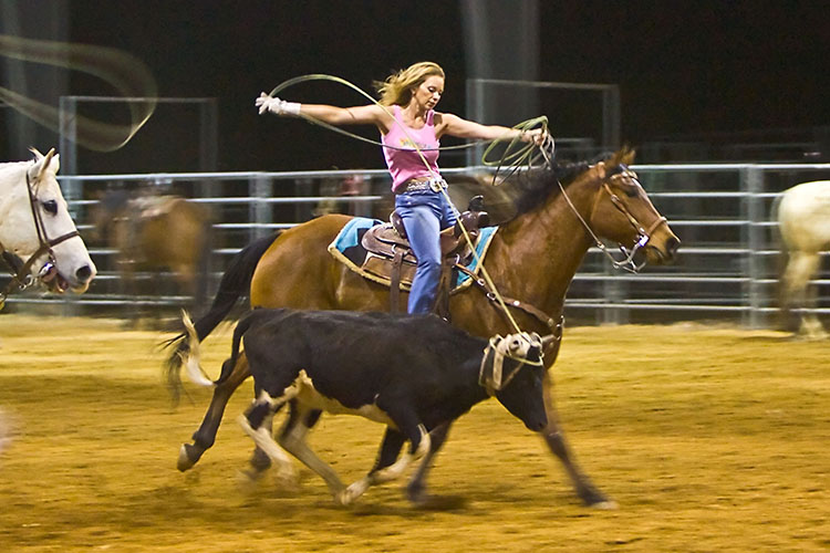 Lassoing Lass:Calf Roping copy