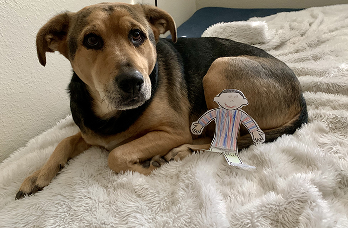 Max w:Mylo